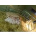 Ferkel’Frei Schweine Mutterschaft mit Stroh abgedecktem Ruheplatz